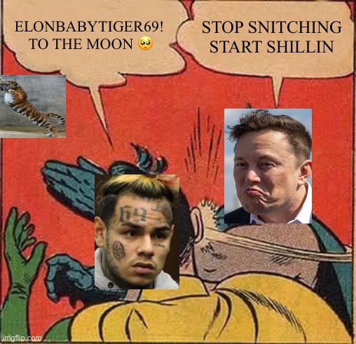 Batman Slapping Robin Meme | ELONBABYTIGER69!  TO THE MOON 🥺; STOP SNITCHING START SHILLIN | image tagged in memes,batman slapping robin | made w/ Imgflip meme maker