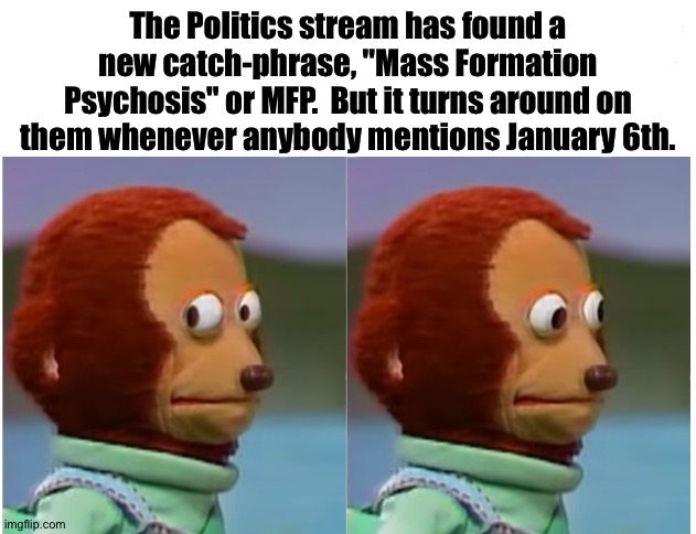 Monkey Puppet Knows | The Politics stream has found a new catch-phrase, "Mass Formation Psychosis" or MFP.  But it turns around on them whenever anybody mentions January 6th. | image tagged in monkey puppet looking away good quality | made w/ Imgflip meme maker