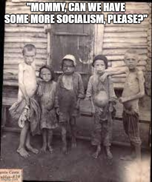"MOMMY, CAN WE HAVE SOME MORE SOCIALISM, PLEASE?" | made w/ Imgflip meme maker