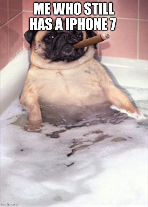 Pug Dog Cigar Bubble Bath | ME WHO STILL HAS A IPHONE 7 | image tagged in pug dog cigar bubble bath | made w/ Imgflip meme maker
