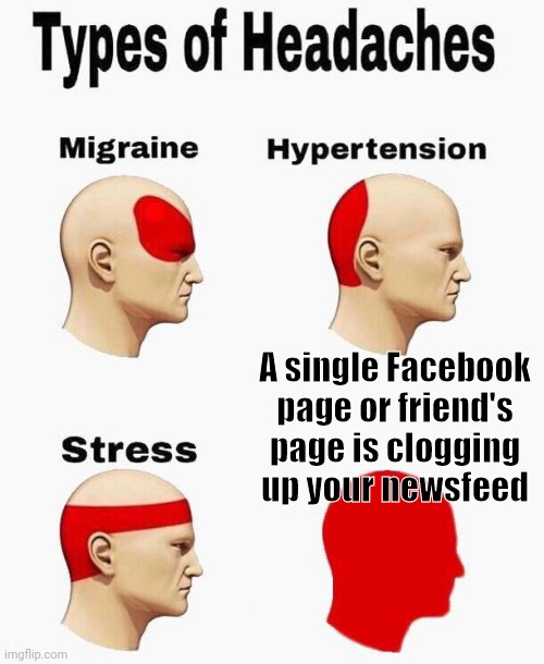 Haven't we all had this? |  A single Facebook page or friend's page is clogging up your newsfeed | image tagged in headaches,facebook,my facebook friend,facebook problems | made w/ Imgflip meme maker