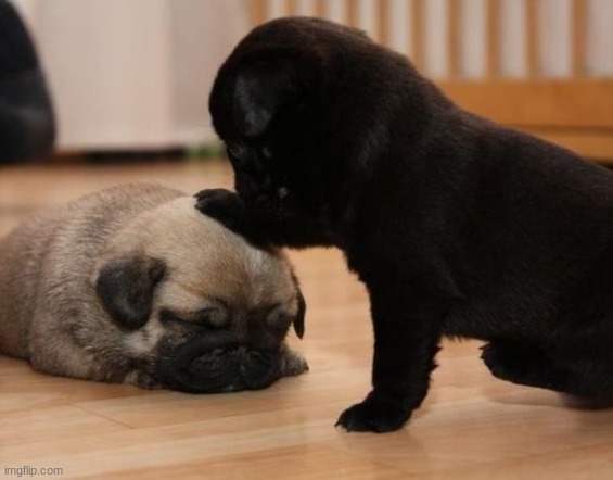 there there | image tagged in there there | made w/ Imgflip meme maker