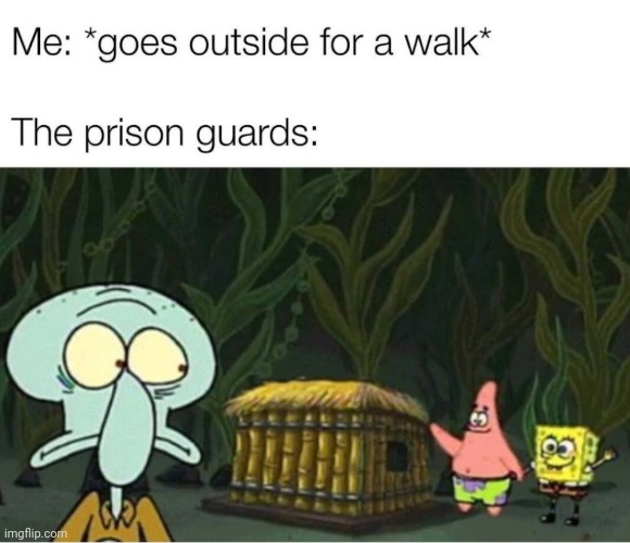 Guards! Dont be afraid to say Hi! | image tagged in memes,guard | made w/ Imgflip meme maker