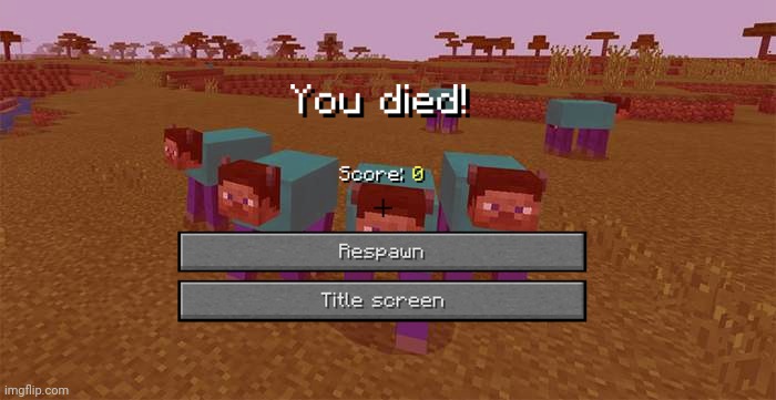 You died | image tagged in you died,minecraft | made w/ Imgflip meme maker