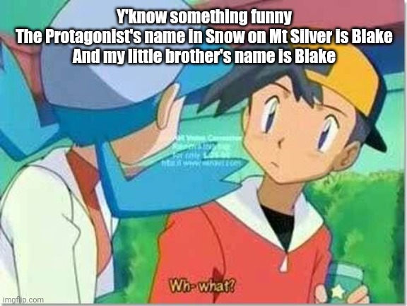 Wh-what? | Y'know something funny
The Protagonist's name in Snow on Mt Silver is Blake
And my little brother's name is Blake | image tagged in wh-what | made w/ Imgflip meme maker