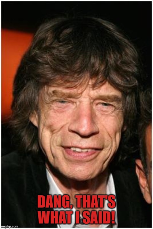 Old mick jagger | DANG, THAT'S WHAT I SAID! | image tagged in old mick jagger | made w/ Imgflip meme maker