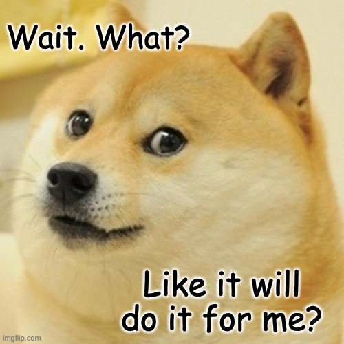 Wait. What? It will do it for me? | Wait. What? Like it will do it for me? | image tagged in memes,doge | made w/ Imgflip meme maker