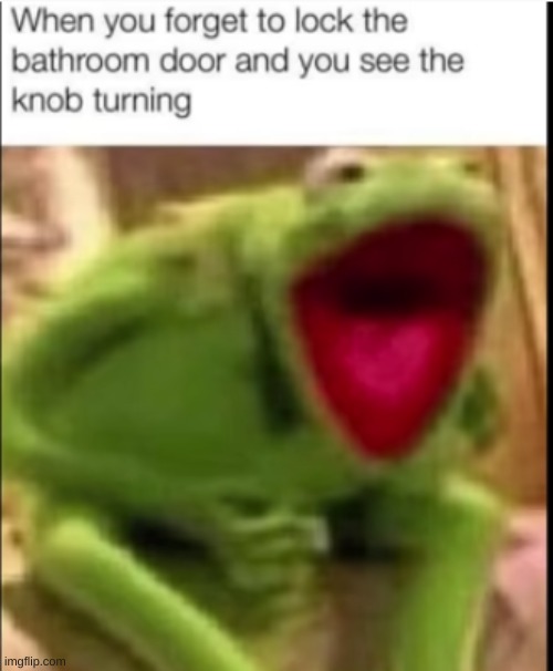 kErMiT | image tagged in kermit the frog | made w/ Imgflip meme maker