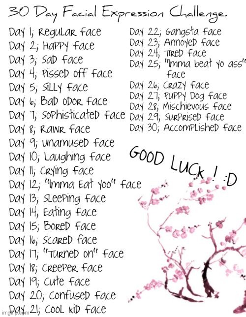 30 Day Drawing Challenge (I didn't make this btw) | image tagged in repost,theft,drawings | made w/ Imgflip meme maker