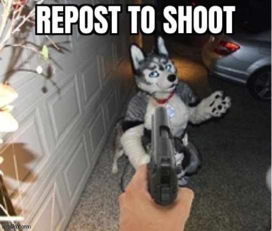 (includes shooting fluffly dragon) | made w/ Imgflip meme maker