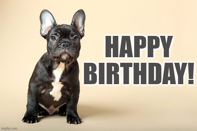 HAPPY BIRTHDAY | HAPPY BIRTHDAY! | image tagged in happy birthday,french bulldog,dog,birthday,happy,happy birthday dog | made w/ Imgflip meme maker