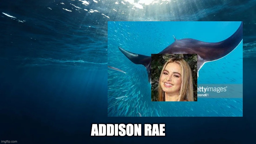 addison ray not rae GET IT RIGHT | ADDISON RAE | image tagged in addison ray | made w/ Imgflip meme maker