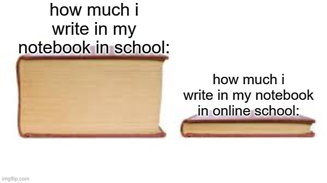 snipping tool exists so why bother taking notes | how much i write in my notebook in school:; how much i write in my notebook in online school: | image tagged in memes | made w/ Imgflip meme maker