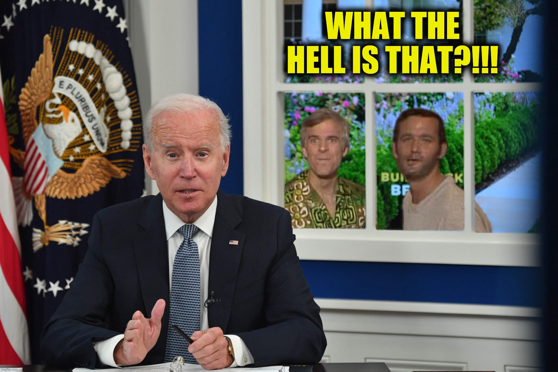 I know what the hell that is! | WHAT THE HELL IS THAT?!!! | image tagged in bad photoshop,joe biden,steve martin,bill murray,what the hell is that | made w/ Imgflip meme maker