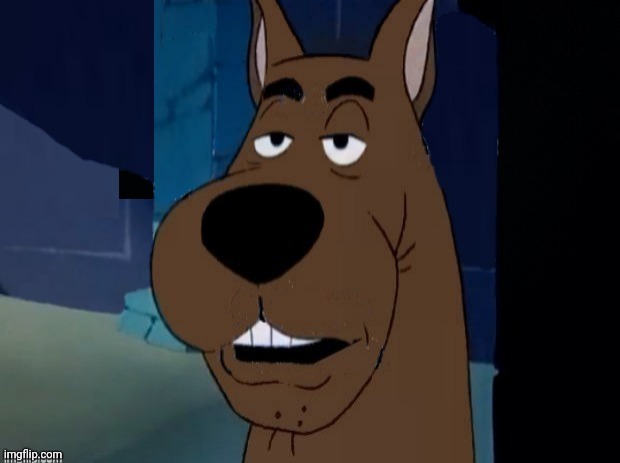 Sarcastic Scooby Doo | image tagged in sarcastic scooby doo | made w/ Imgflip meme maker