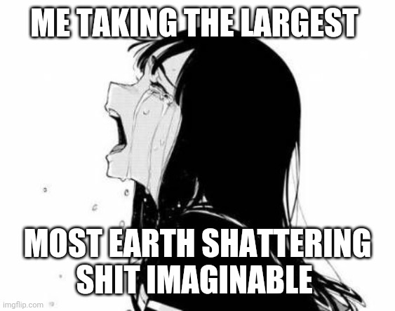 Anime girl crying | ME TAKING THE LARGEST; MOST EARTH SHATTERING SHIT IMAGINABLE | image tagged in anime girl crying | made w/ Imgflip meme maker