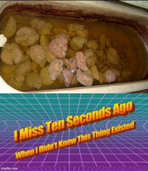 brains | image tagged in i miss ten seconds ago | made w/ Imgflip meme maker