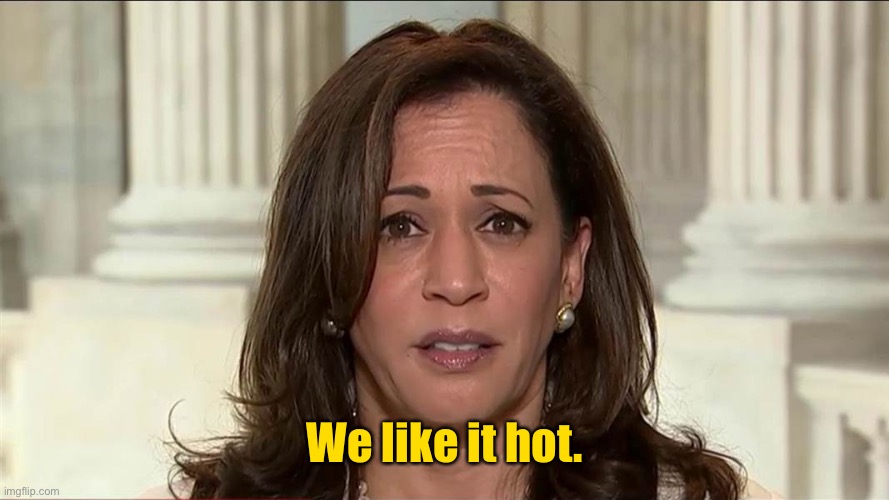 kamala harris | We like it hot. | image tagged in kamala harris | made w/ Imgflip meme maker