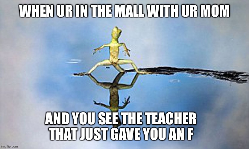 LIZRD meme | WHEN UR IN THE MALL WITH UR MOM; AND YOU SEE THE TEACHER THAT JUST GAVE YOU AN F | image tagged in lizard | made w/ Imgflip meme maker