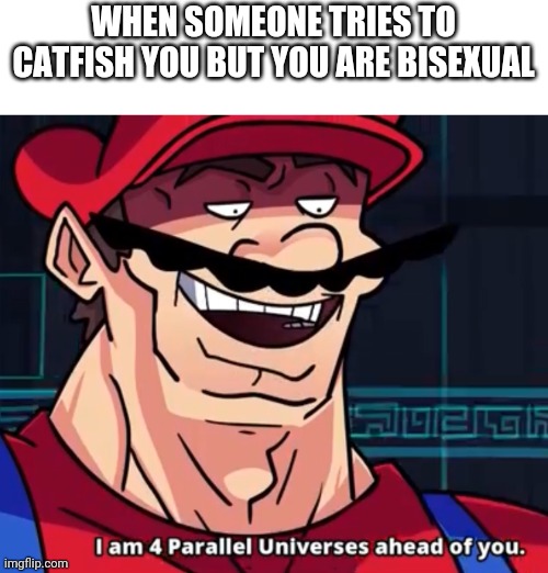 I Am 4 Parallel Universes Ahead Of You | WHEN SOMEONE TRIES TO CATFISH YOU BUT YOU ARE BISEXUAL | image tagged in i am 4 parallel universes ahead of you | made w/ Imgflip meme maker
