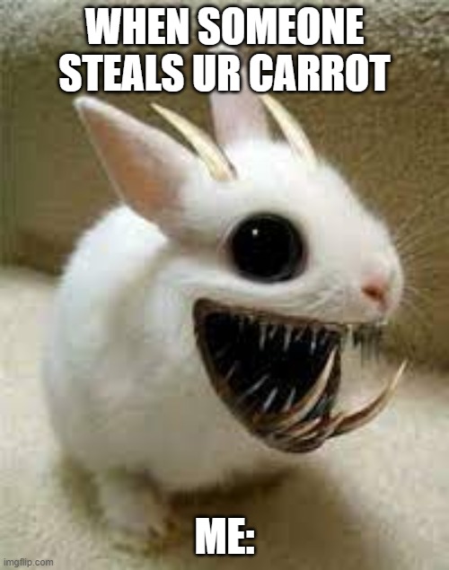 GIMMEE MY CARROT | WHEN SOMEONE STEALS UR CARROT; ME: | image tagged in bunny,carrot,rage | made w/ Imgflip meme maker