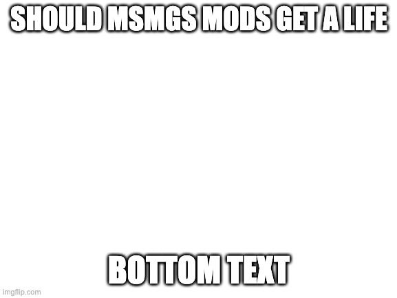 cause like im genuinely concerned | SHOULD MSMGS MODS GET A LIFE; BOTTOM TEXT | image tagged in blank white template | made w/ Imgflip meme maker