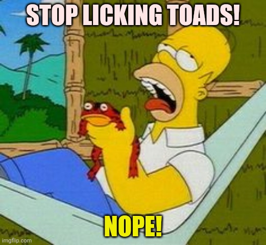 They taste too good. | STOP LICKING TOADS! NOPE! | image tagged in not not licking toads,its time to stop,toad,frogs | made w/ Imgflip meme maker