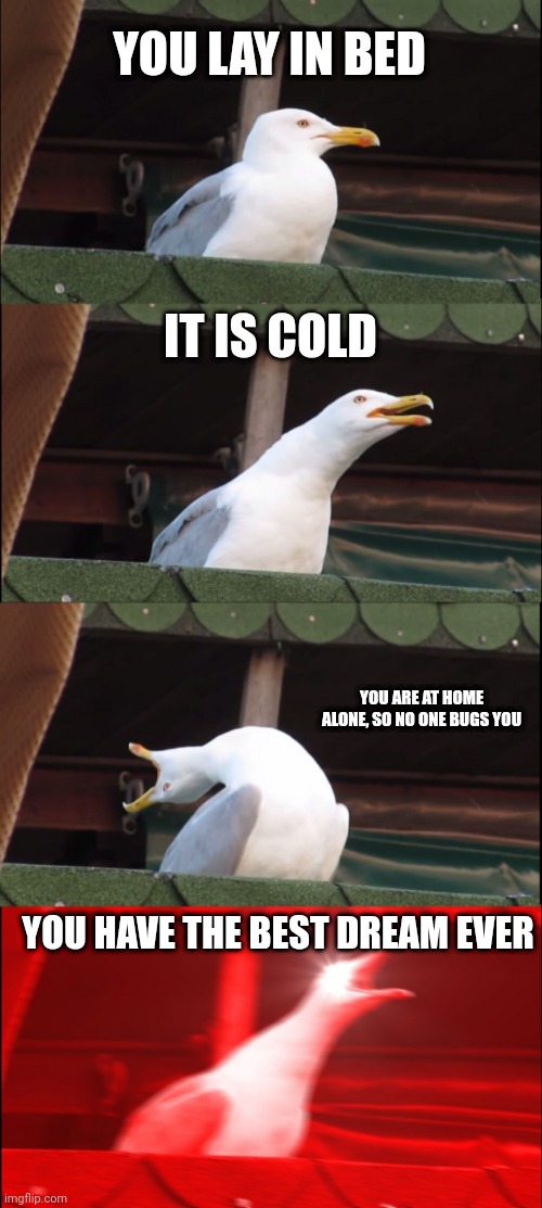 Inhaling Seagull Meme | YOU LAY IN BED; IT IS COLD; YOU ARE AT HOME ALONE, SO NO ONE BUGS YOU; YOU HAVE THE BEST DREAM EVER | image tagged in memes,inhaling seagull | made w/ Imgflip meme maker