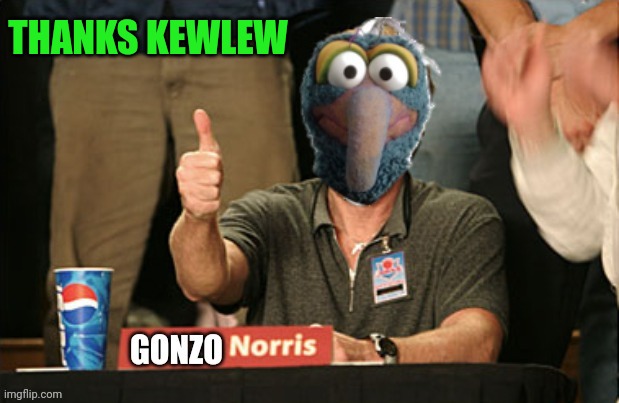 Gonzo Norris thumbs up | THANKS KEWLEW | image tagged in gonzo norris thumbs up | made w/ Imgflip meme maker