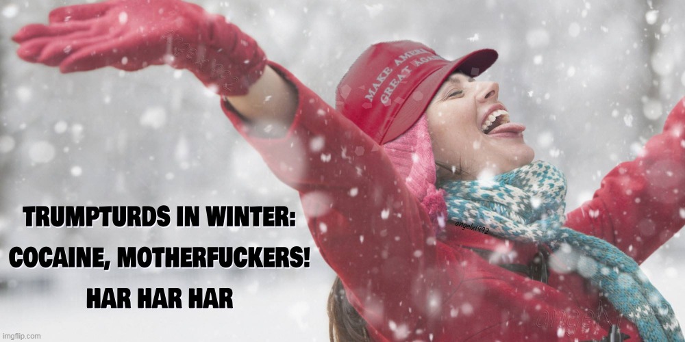 image tagged in snowflakes,clown car republicans,cocaine,drug addicts,snow,winter | made w/ Imgflip meme maker