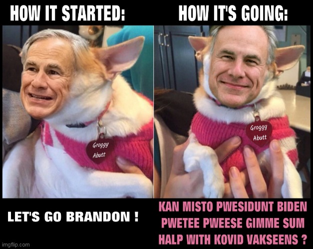 image tagged in texas,covid-19,greg abbott,dog,puppy,clown car republicans | made w/ Imgflip meme maker