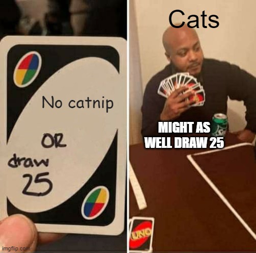 UNO Draw 25 Cards | Cats; No catnip; MIGHT AS WELL DRAW 25 | image tagged in memes,uno draw 25 cards,cats | made w/ Imgflip meme maker