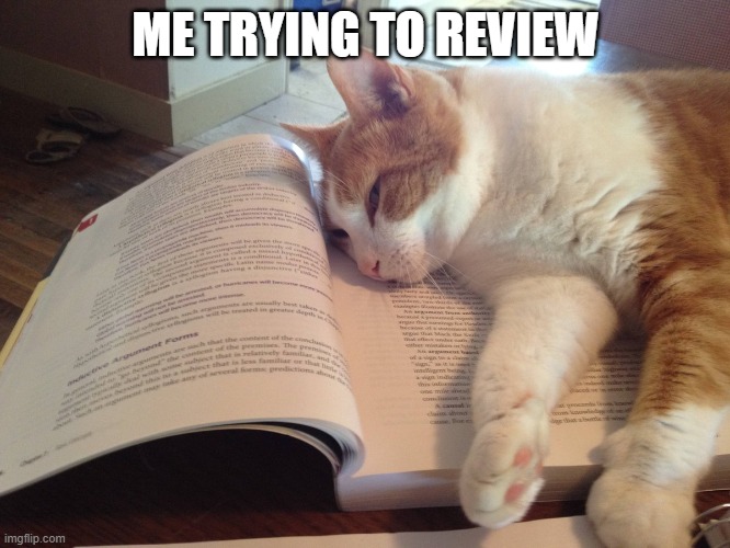 i cant review | ME TRYING TO REVIEW | image tagged in funny animals | made w/ Imgflip meme maker