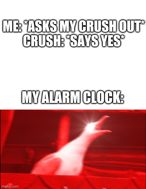 Every dream has a deeper meaning... | ME: *ASKS MY CRUSH OUT*


CRUSH: *SAYS YES*; MY ALARM CLOCK: | image tagged in blank white template,memes,inhaling seagull | made w/ Imgflip meme maker