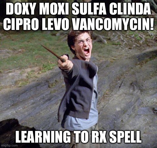 RX spells | DOXY MOXI SULFA CLINDA CIPRO LEVO VANCOMYCIN! LEARNING TO RX SPELL | image tagged in harry potter | made w/ Imgflip meme maker