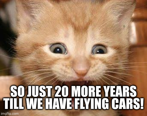 Excited Cat Meme | SO JUST 20 MORE YEARS TILL WE HAVE FLYING CARS! | image tagged in memes,excited cat | made w/ Imgflip meme maker