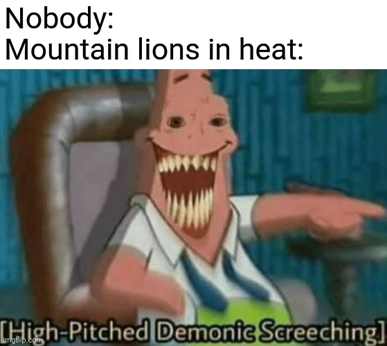Mountain lion mo.ent | Nobody:
Mountain lions in heat: | image tagged in high-pitched demonic screeching | made w/ Imgflip meme maker