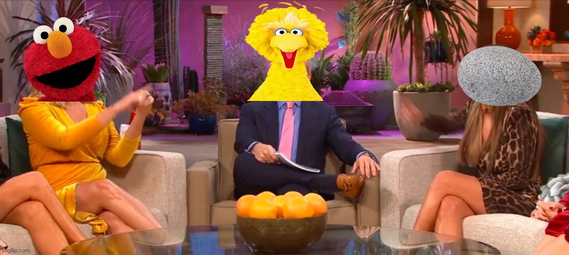 image tagged in real housewives,sesame street,elmo,elmo vs rocco | made w/ Imgflip meme maker
