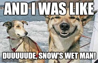 Original Stoner Dog Meme | AND I WAS LIKE DUUUUUDE, SNOW'S WET MAN! | image tagged in memes,original stoner dog | made w/ Imgflip meme maker