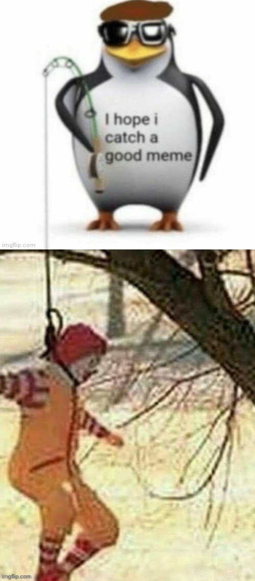 image tagged in i hope i catch a good meme | made w/ Imgflip meme maker