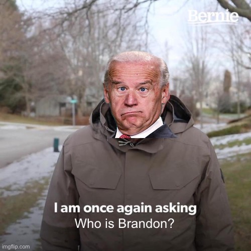 Bernie I Am Once Again Asking For Your Support | Who is Brandon? | image tagged in memes,bernie i am once again asking for your support | made w/ Imgflip meme maker