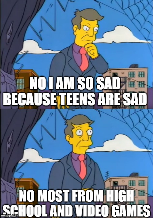 School that teens sad | NO I AM SO SAD BECAUSE TEENS ARE SAD; NO MOST FROM HIGH SCHOOL AND VIDEO GAMES | image tagged in skinner out of touch,memes | made w/ Imgflip meme maker
