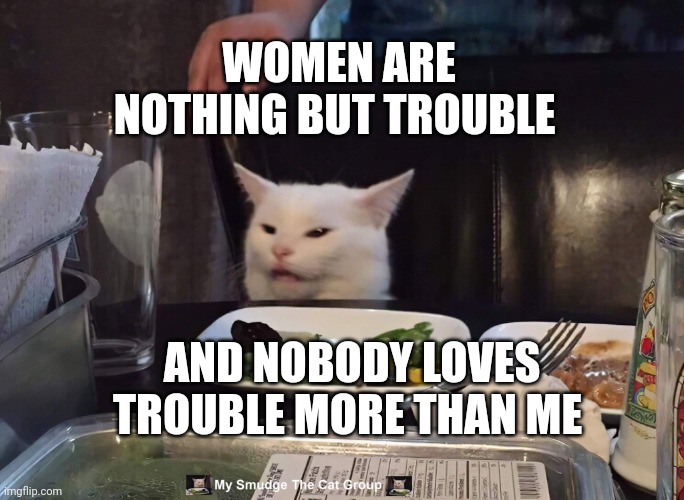 WOMEN ARE NOTHING BUT TROUBLE; AND NOBODY LOVES TROUBLE MORE THAN ME | image tagged in smudge the cat | made w/ Imgflip meme maker