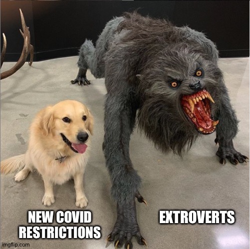 Shouldn't have externalised 24/7 | NEW COVID RESTRICTIONS; EXTROVERTS | image tagged in dog vs werewolf,covid,protesters | made w/ Imgflip meme maker