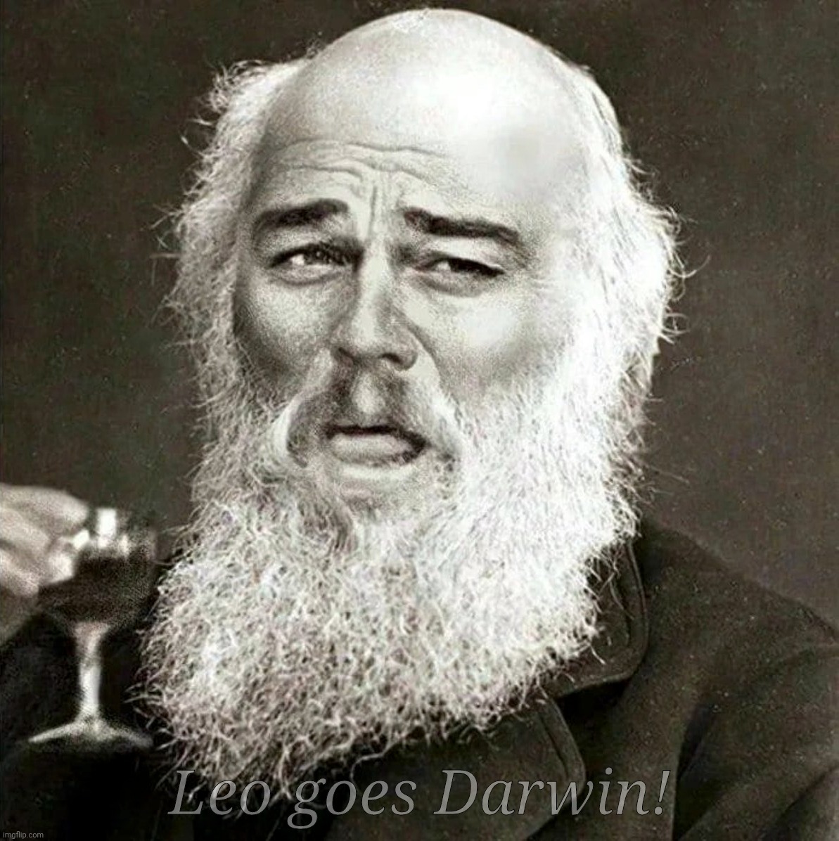 Laughing Leonardo DeCaprio Django Darwin | Leo goes Darwin! | image tagged in laughing leonardo decaprio django darwin | made w/ Imgflip meme maker