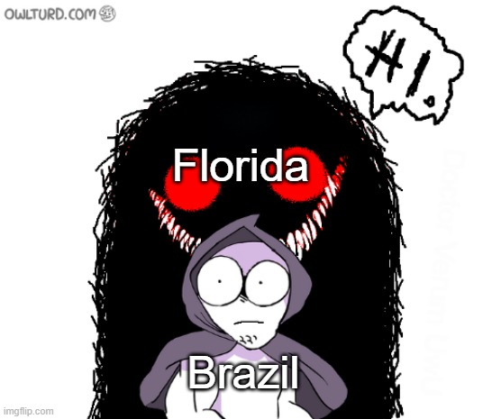 Florida; Brazil | made w/ Imgflip meme maker