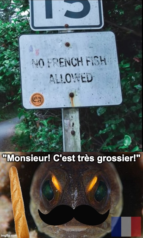Why no French fish? :( | "Monsieur! C'est très grossier!" | image tagged in memes,unfunny | made w/ Imgflip meme maker