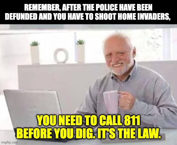 dig safe | REMEMBER, AFTER THE POLICE HAVE BEEN DEFUNDED AND YOU HAVE TO SHOOT HOME INVADERS, YOU NEED TO CALL 811 BEFORE YOU DIG. IT'S THE LAW. | image tagged in harold | made w/ Imgflip meme maker