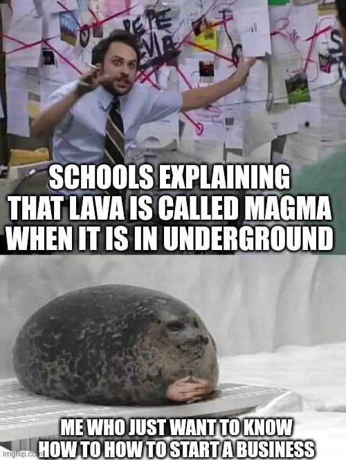 Stop teaching me useless motherfuc##r like quadratic equation | SCHOOLS EXPLAINING THAT LAVA IS CALLED MAGMA WHEN IT IS IN UNDERGROUND; ME WHO JUST WANT TO KNOW HOW TO HOW TO START A BUSINESS | image tagged in man explaining to seal | made w/ Imgflip meme maker