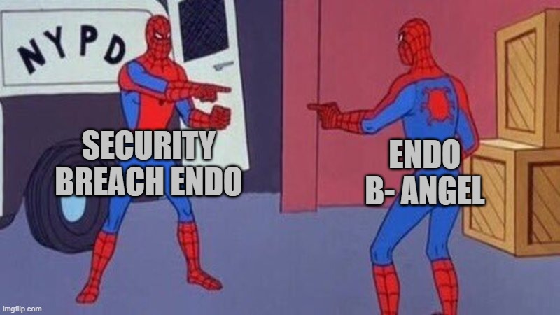 see any similarities? | SECURITY BREACH ENDO; ENDO B- ANGEL | image tagged in spiderman pointing at spiderman | made w/ Imgflip meme maker